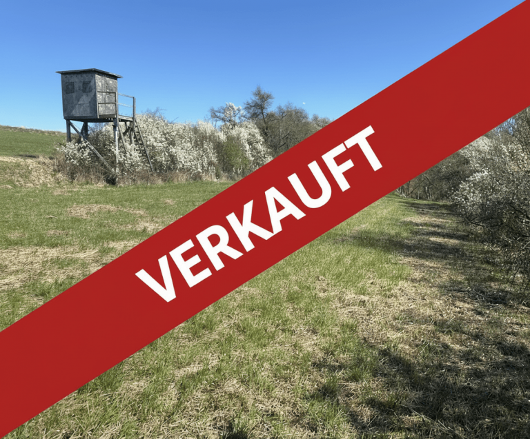 1 Verkauft Eltmannshausen Land- / Forstwirtschaft - Grdst. Land- und Forstwirtschaftliches Grundst�ck (Gr�nland / Wiese) in Eltmannshausen zum fairen Preis!