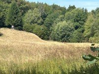 Hauptbild Ein Paradies f�r Pferdehalter - ca. 2 ha Wiese mit Bachlauf und Baumbestand in Neustadt - Mengsberg