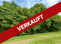 Hauptbild Laubwald mit starkem Baumbestand in Waldkappel / 0,7 ha