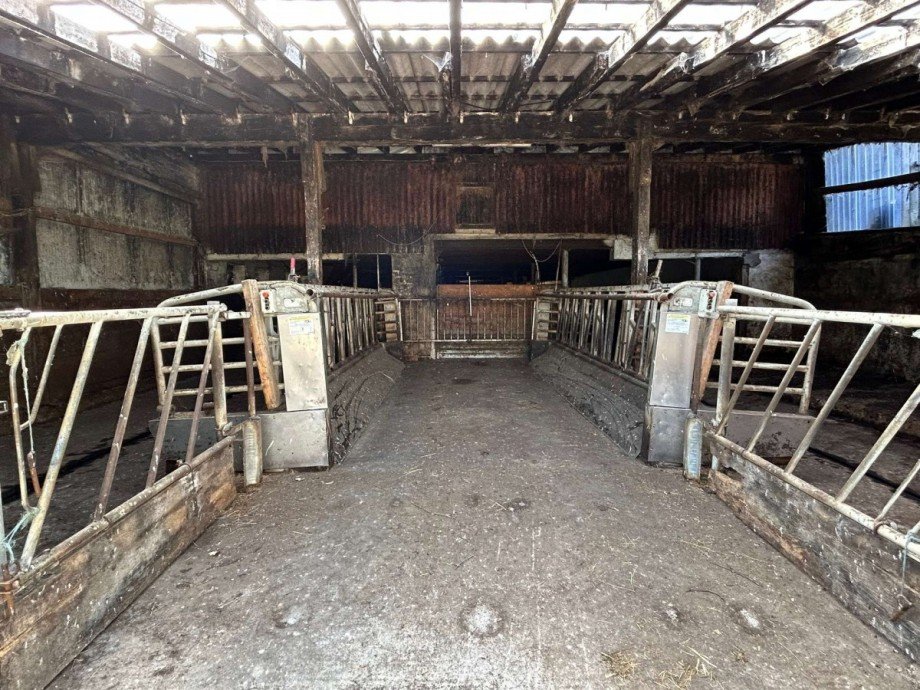 24 Futtertisch Bauernhof Ringgau