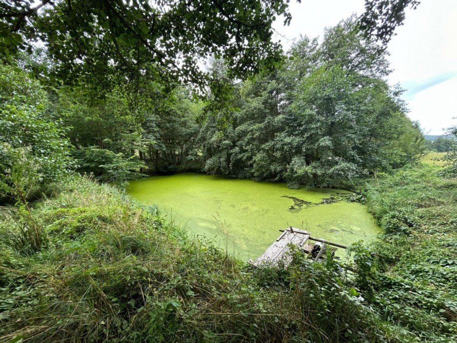 Teich 2 - Bild 1 Freizeitimmobilie Sontra