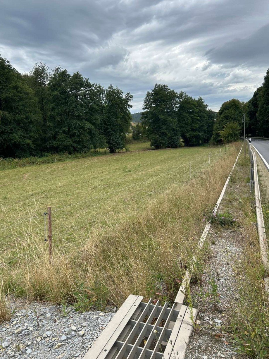 Bundesstra�e Blick Wiese 1 Freizeitimmobilie Sontra