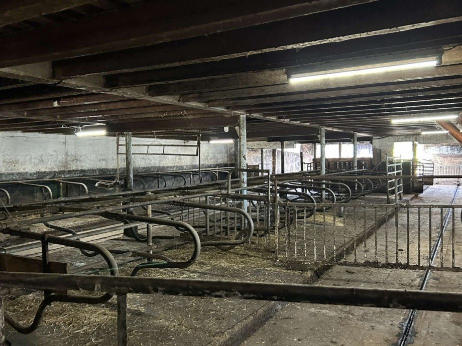 21 Boxenlaufstall Bauernhaus Ringgau