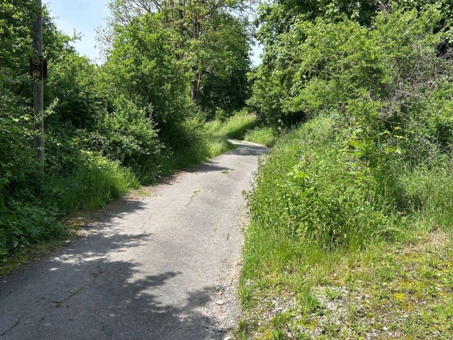 8 Wanderweg auf dem Zuweg zum Grundst�ck Land- / Forstwirtschaft - Grdst. Wickenrode