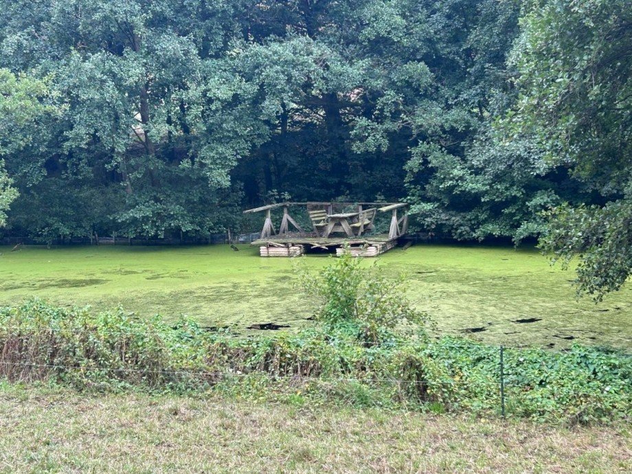 Teich 1 - Bild 5 Freizeitimmobilie Sontra