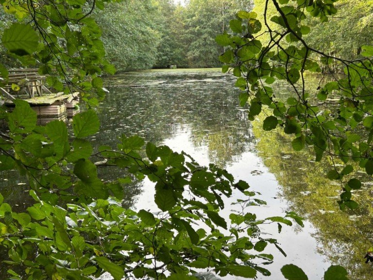Teich 1 - Bild 1 Sontra Freizeitimmobilie Teichanlage mit 4 Teichen, gro�er Wiese und Baumbestand (ca. 3 ha / 29.994 qm) in Sontra - Ulfen