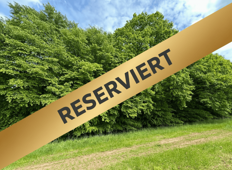 1 Blick auf den Mischwald vom Weg aus gesehen Unten - Reserviert Waldkappel Land- / Forstwirtschaft - Grdst. Laubwald mit starkem Baumbestand in Waldkappel / 0,7 ha