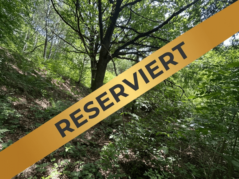1 Reserviert Wickenrode Land- / Forstwirtschaft - Grdst. Waldgrundst�ck (ehemals eine Wiese und als Freizeitgrundst�ck geeignet) in Helsa-Wickenrode