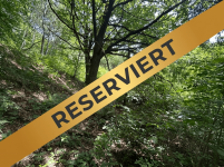 Hauptbild Waldgrundst�ck (ehemals eine Wiese und als Freizeitgrundst�ck geeignet) in Helsa-Wickenrode