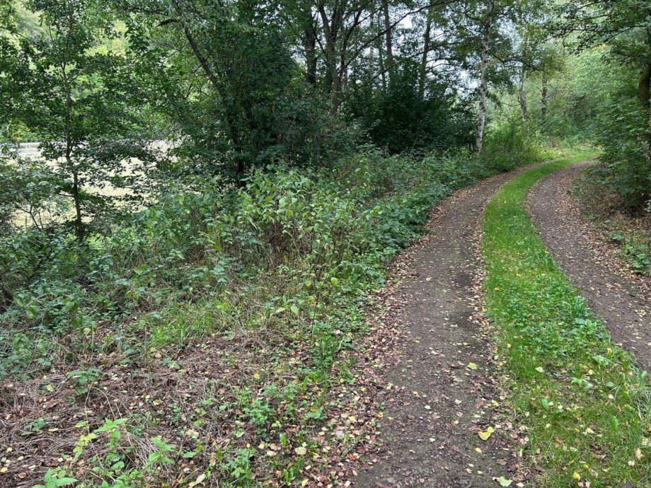 Zuweg Feldweg Freizeitimmobilie Sontra