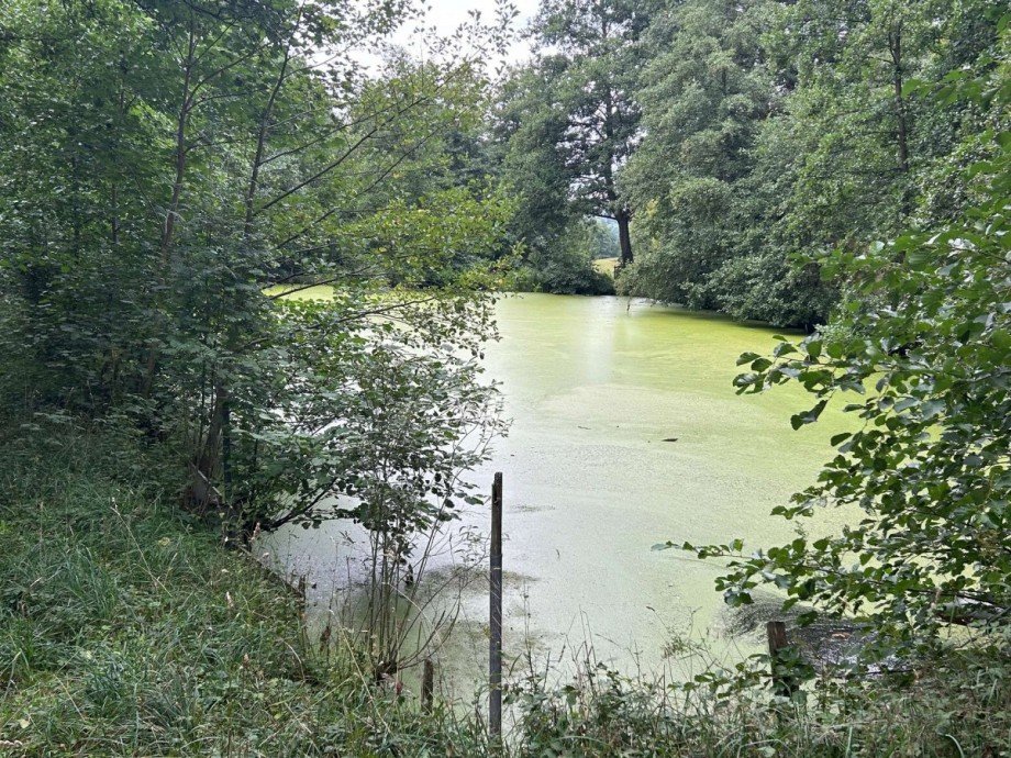 Teich 3 - Bild 1 Freizeitimmobilie Sontra