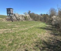 Bild (9f1ef04a77672376bc0b2f82fd56c1ea): Land- und Forstwirtschaftliches Grundst�ck (Gr�nland / Wiese) in Eltmannshausen zum fairen Preis!
