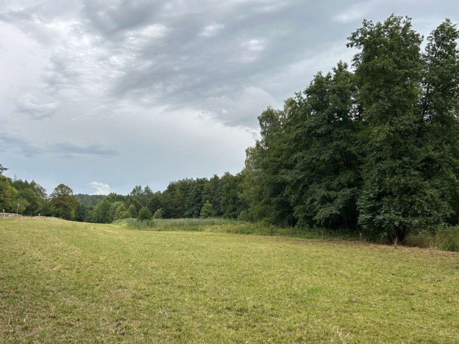 Bundesstra�e Blick Wiese 3 Freizeitimmobilie Sontra