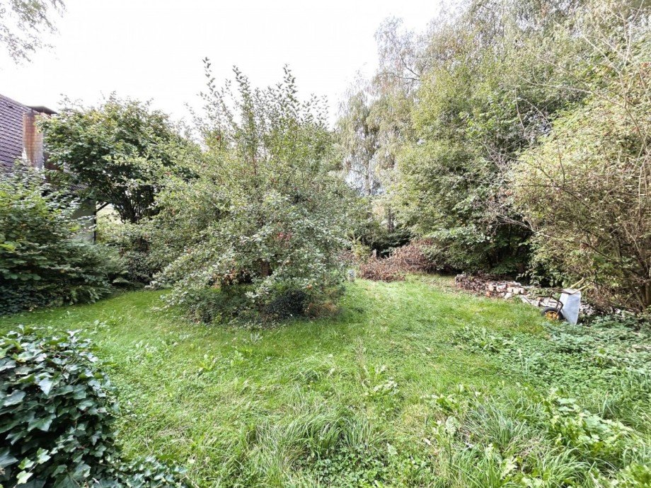 Garten Bild 4 Haus Ringgau