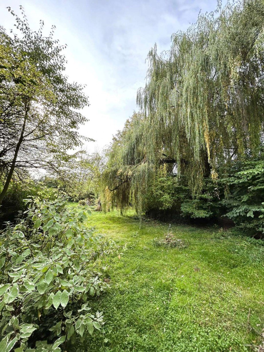 Garten Bild 1 Haus Ringgau
