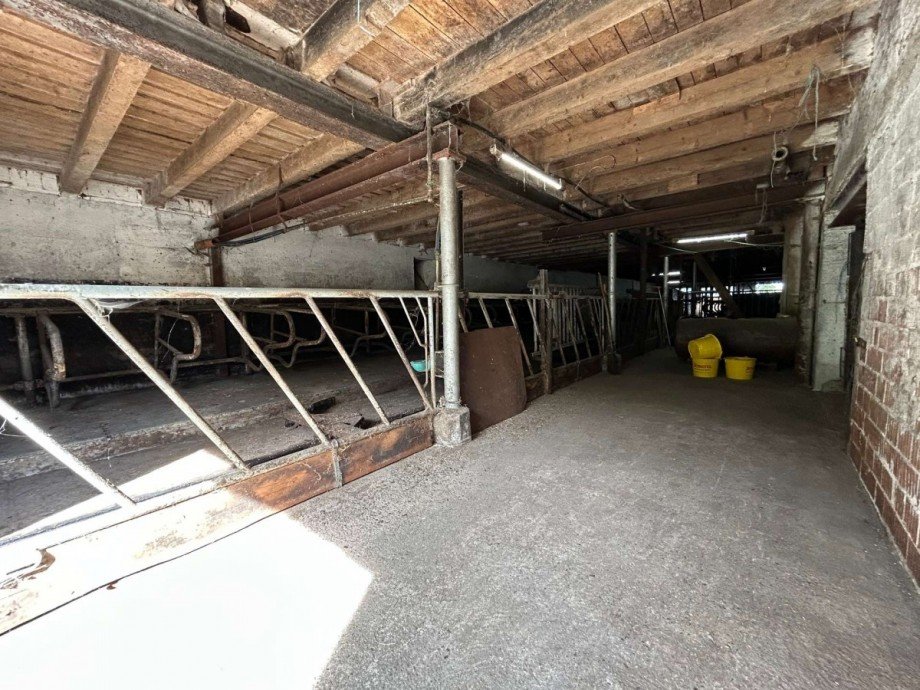 23 Boxenlaufstall Bauernhof Ringgau