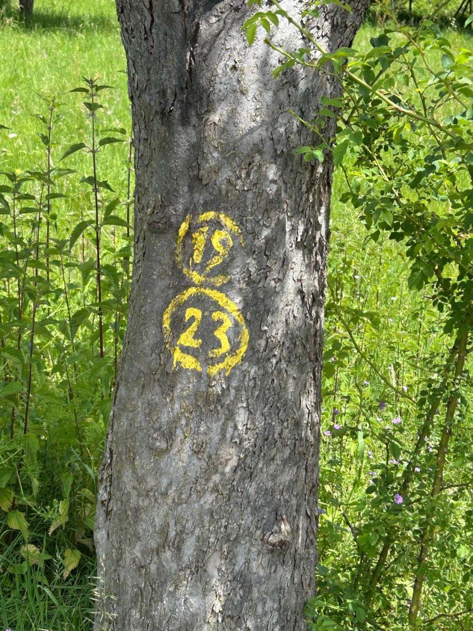9 Wanderweg Markierung unweit vom Grundst�ck Land- / Forstwirtschaft - Grdst. Wickenrode