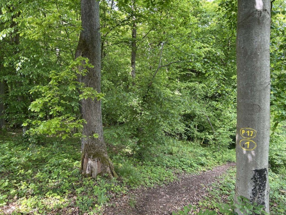 Wanderweg P 17 Waldkappel Land- / Forstwirtschaft - Grdst. Waldkappel