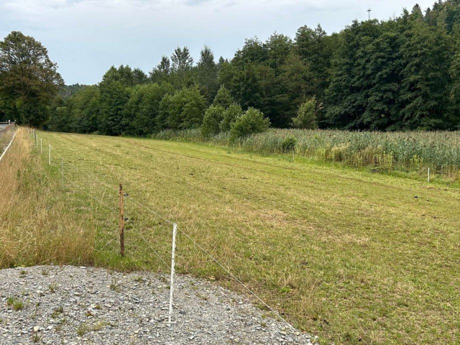 Bundesstra�e Blick Wiese 2 Freizeitimmobilie Sontra