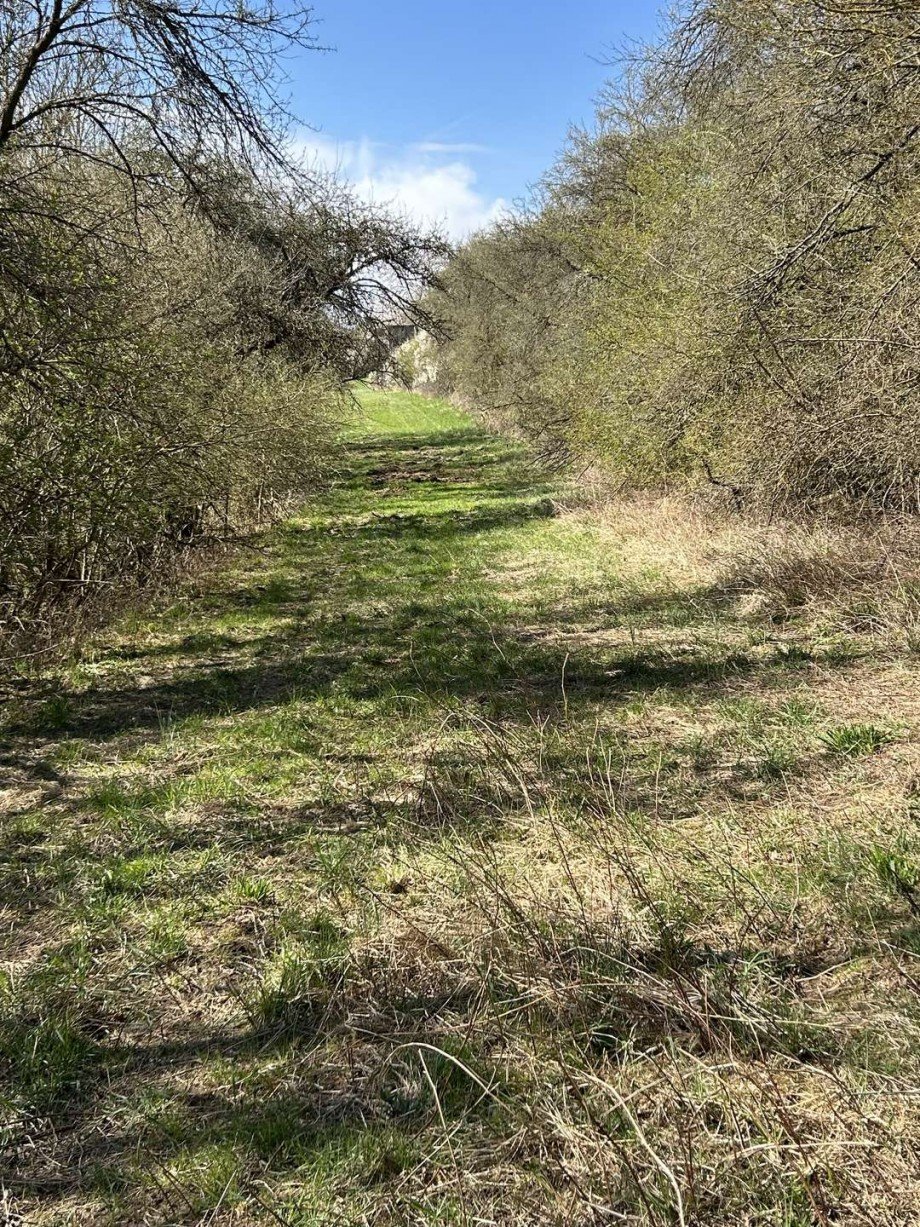 Wiese Bild 4 - Mitte Land- / Forstwirtschaft - Grdst. Eltmannshausen