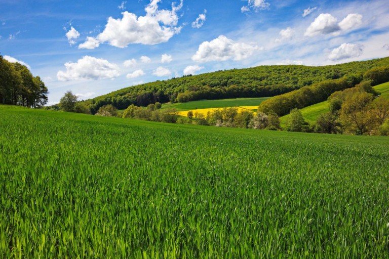 Landwirtschaftliche Fl�che Waldkappel Grundst�ck Ackerland, Gr�nland oder Wald zu verkaufen? Kostenlose Preiseinsch�tzung im Werra-Mei�ner-Kreis!