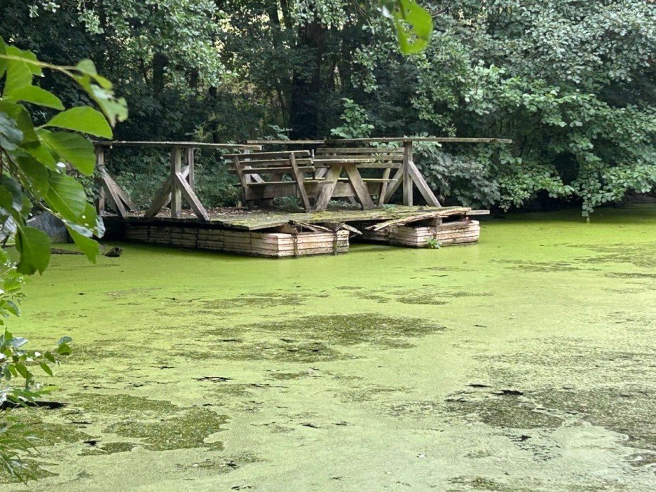 Teich 1 - Flo� Freizeitimmobilie Sontra