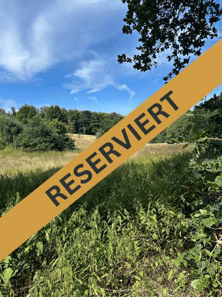 Use AI Image Oct 16, 2026, 10_33_34 Neustadt (Hessen) Land- / Forstwirtschaft - Grdst. Ein Paradies f�r Pferdehalter - ca. 2 ha Wiese mit Bachlauf und Baumbestand in Neustadt - Mengsberg