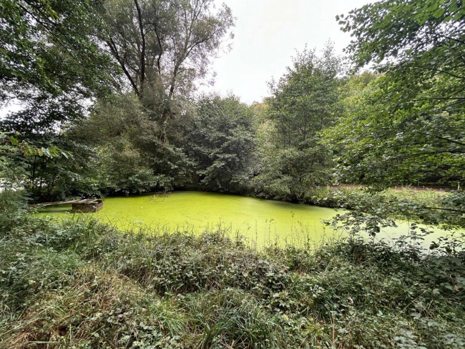 Teich 4 - Bild 1 Freizeitimmobilie Sontra