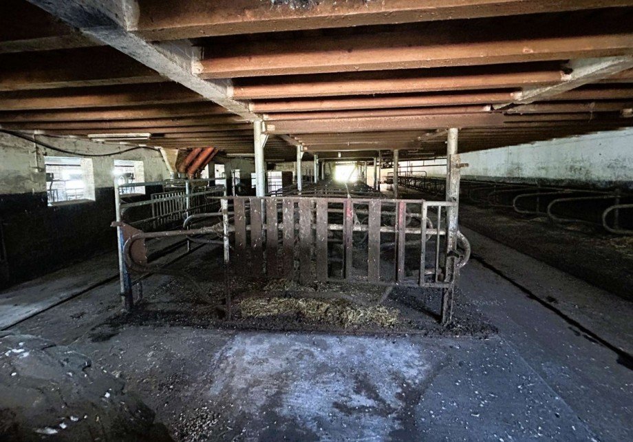 22 Boxenlaufstall Bauernhof Ringgau